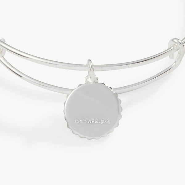 /fast-image/h_600/a-n-a/files/Harry-Potter-Ravenclaw-House-Engravable-Pendant-Charm-Bangle-back-AS760223SS.jpg